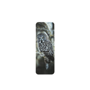Kirjanmerkki - Great grey owl