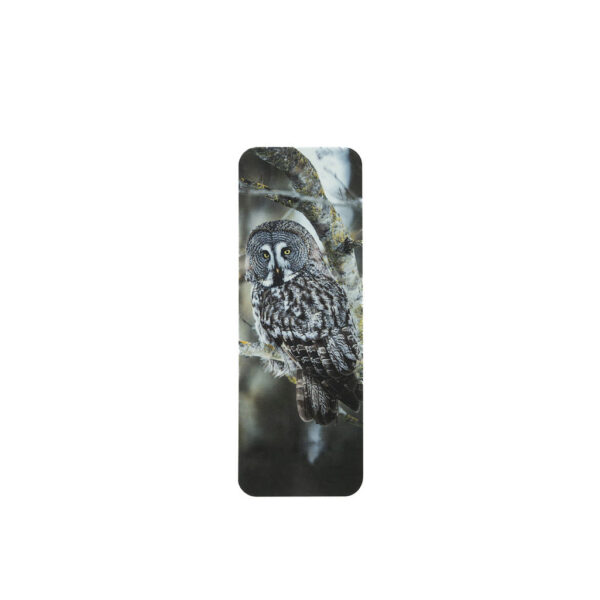 Kirjanmerkki - Great grey owl